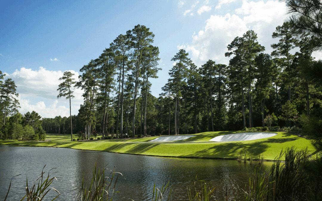 Bluejack National: An Instant Classic