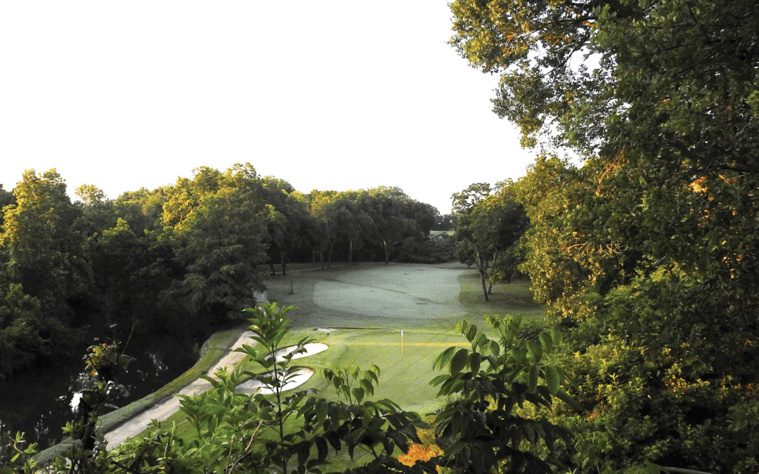 Spotlight: Onion Creek #12