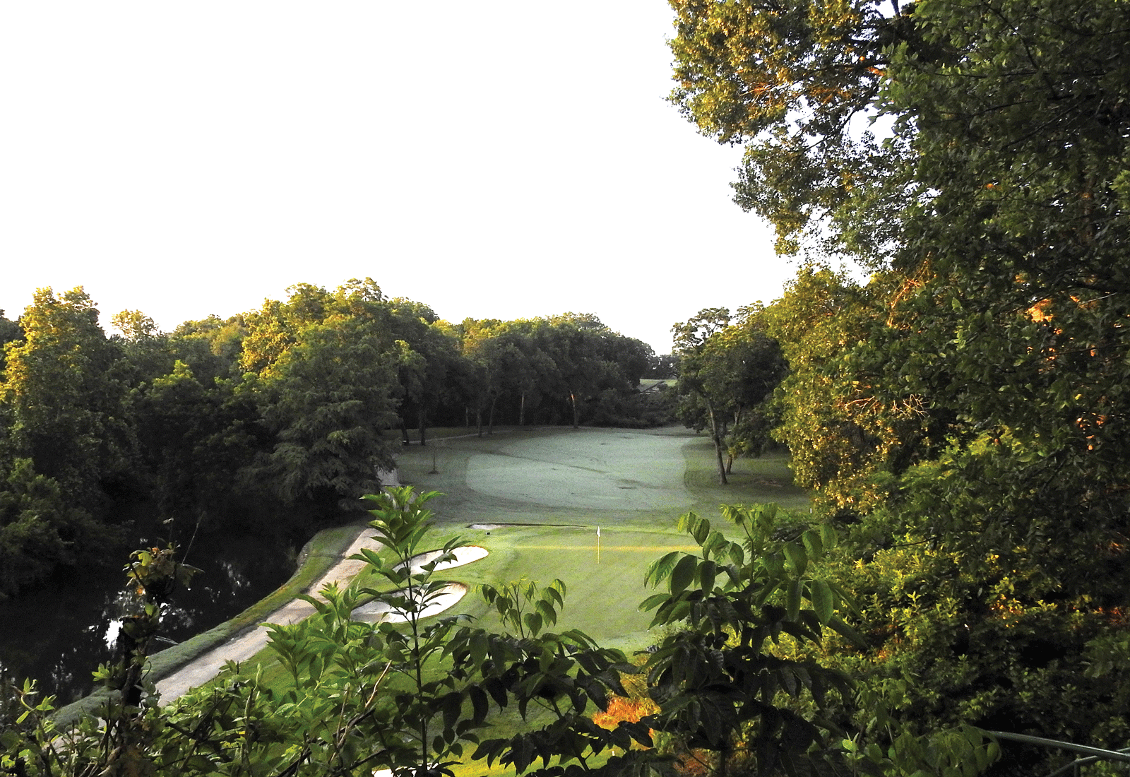 Spotlight: Onion Creek #12
