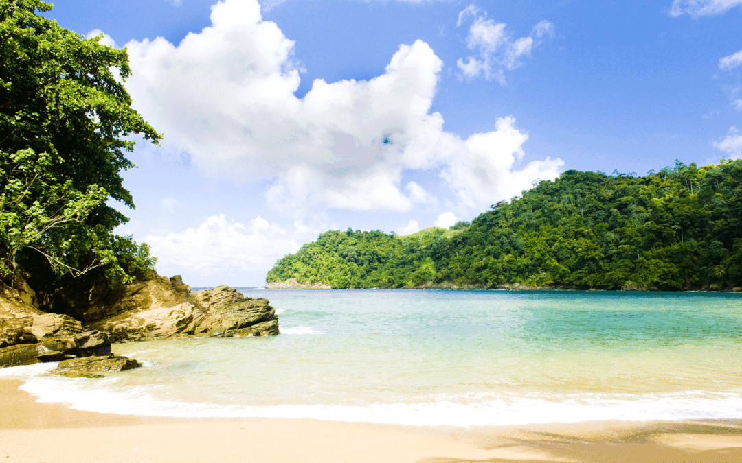 The Beautiful People and Food of Trinidad
