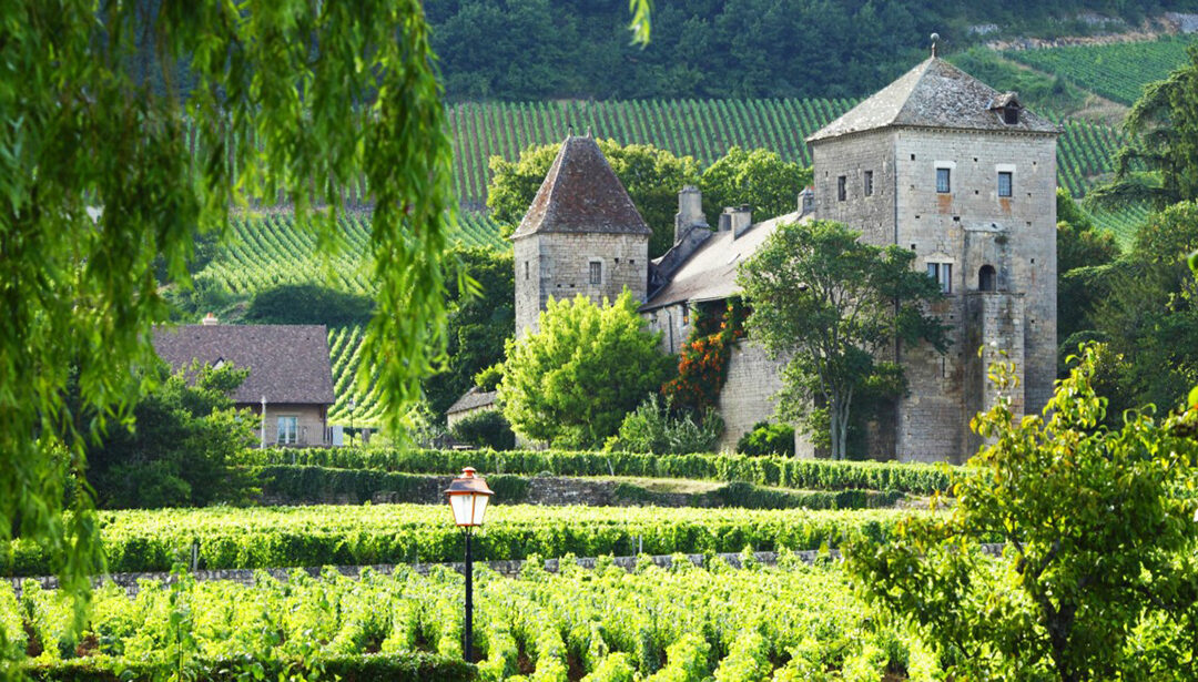 Chauvenet-Chopin Vougeot Burgundy