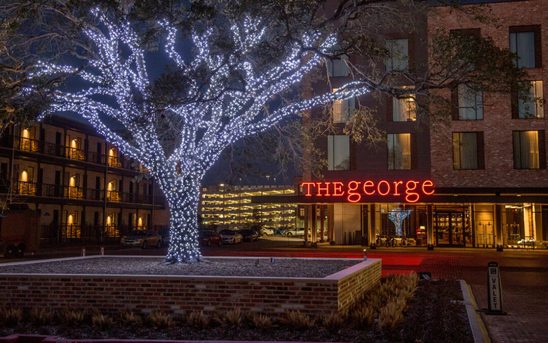 Take 3: The george, rustic luxury