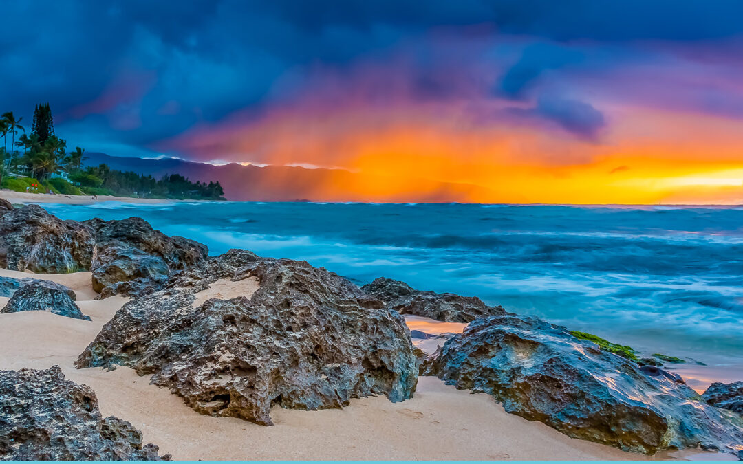 Sweet Spots on the North Shore