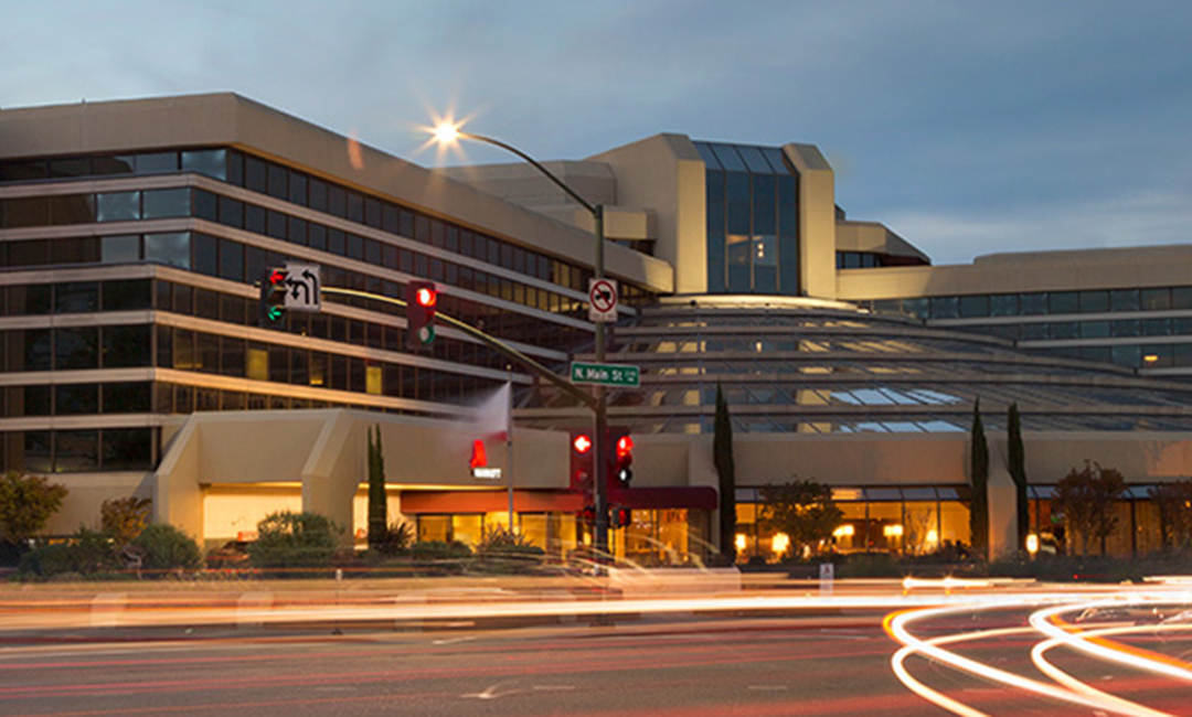 Sweet Spot: A Few Days in Walnut Creek